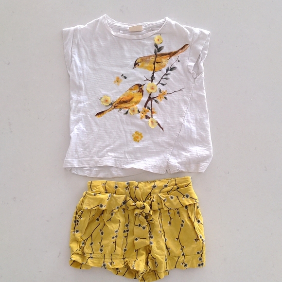 Size 3/4 Zara girls outfit - Picture 1 of 1